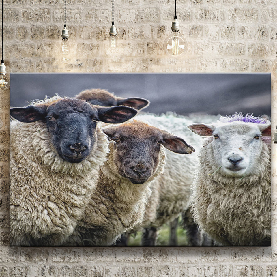 Sheep Domestic Animal Canvas Prints Wall Art - Painting Canvas, Wall Decor, Canvas Art, For Sale