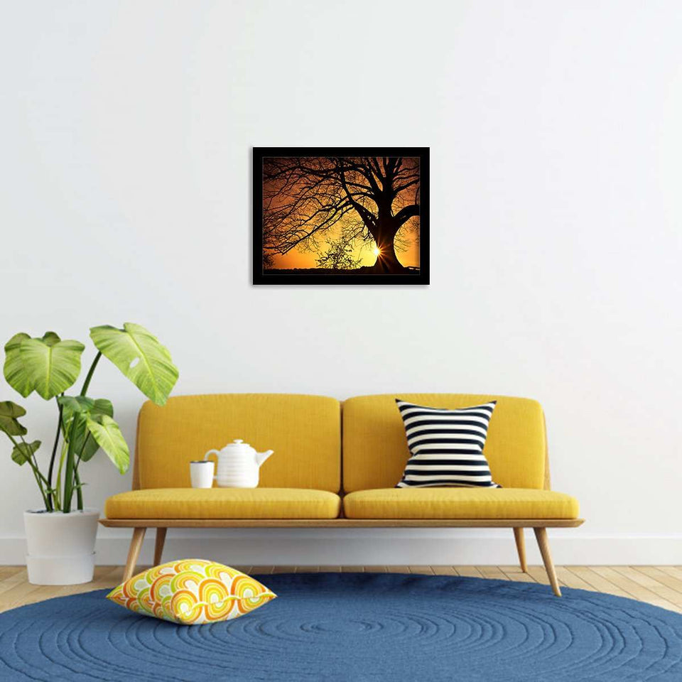 Silhouette of a Willow Tree in Sunset-Forest art, Art print, Plexiglass Cover