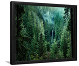 Silver Falls State Park-Forest art, Art print, Plexiglass Cover