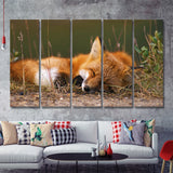 Sleeping Fox 5 Pieces B Canvas Prints Wall Art - Painting Canvas, Multi Panels,5 Panel, Wall Decor