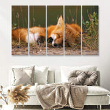 Sleeping Fox 5 Pieces B Canvas Prints Wall Art - Painting Canvas, Multi Panels,5 Panel, Wall Decor