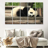 Sleeping Panda 5 Pieces B Canvas Prints Wall Art - Painting Canvas, Multi Panels,5 Panel, Wall Decor