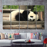 Sleeping Panda 5 Pieces B Canvas Prints Wall Art - Painting Canvas, Multi Panels,5 Panel, Wall Decor