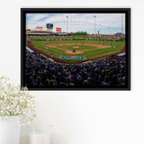 Sloan Park in Mesa, Stadium Canvas, Sport Art, Gift for him, Framed Canvas Prints Wall Art Decor, Framed Picture