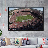 South Carolina Gamecocks Stadium Art Prints Williams Brice Stadium Wall,Sport Stadium Art Prints, Fan Gift, Wall Decor