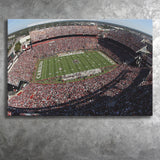 South Carolina Gamecocks Stadium Canvas Prints Williams Brice Stadium Wall,Sport Stadium Art Prints, Fan Gift, Wall Decor