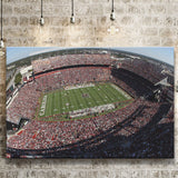 South Carolina Gamecocks Stadium Canvas Prints Williams Brice Stadium Wall,Sport Stadium Art Prints, Fan Gift, Wall Decor