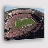 South Carolina Gamecocks Stadium Canvas Prints Williams Brice Stadium Wall,Sport Stadium Art Prints, Fan Gift, Wall Decor