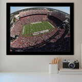 South Carolina Gamecocks Stadium Art Prints Williams Brice Stadium Wall,Sport Stadium Art Prints, Fan Gift, Wall Decor
