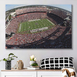 South Carolina Gamecocks Stadium Canvas Prints Williams Brice Stadium Wall,Sport Stadium Art Prints, Fan Gift, Wall Decor