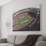 South Carolina Gamecocks Stadium Canvas Prints Williams Brice Stadium Wall,Sport Stadium Art Prints, Fan Gift, Wall Decor