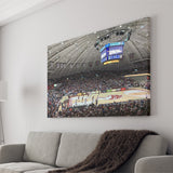 Southern Illinois Salukis Wall Art Banterra Center Stadium Canvas Prints,Sport Stadium Art Prints, Fan Gift, Wall Decor