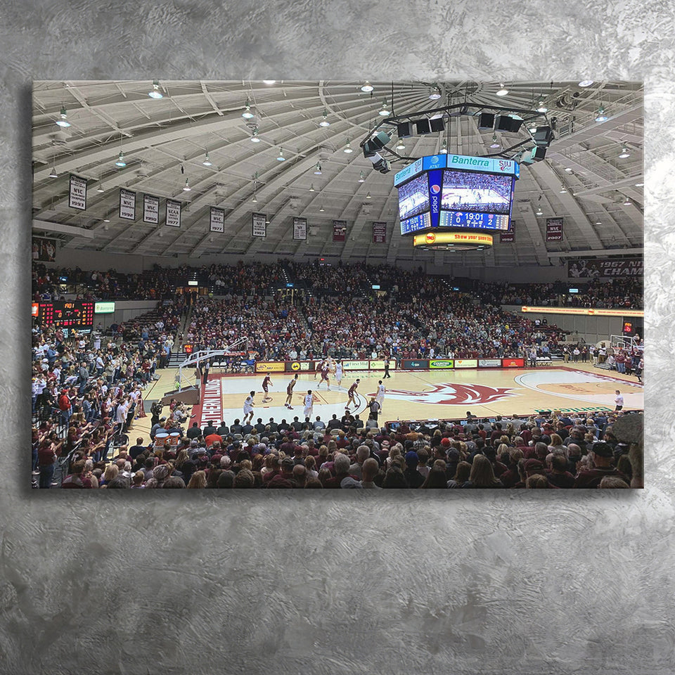 Southern Illinois Salukis Wall Art Banterra Center Stadium Canvas Prints,Sport Stadium Art Prints, Fan Gift, Wall Decor