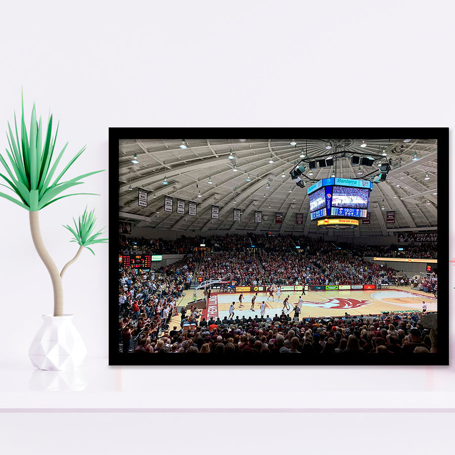 Southern Illinois Salukis Wall Art Banterra Center Stadium Art Prints,Sport Stadium Art Prints, Fan Gift, Wall Decor