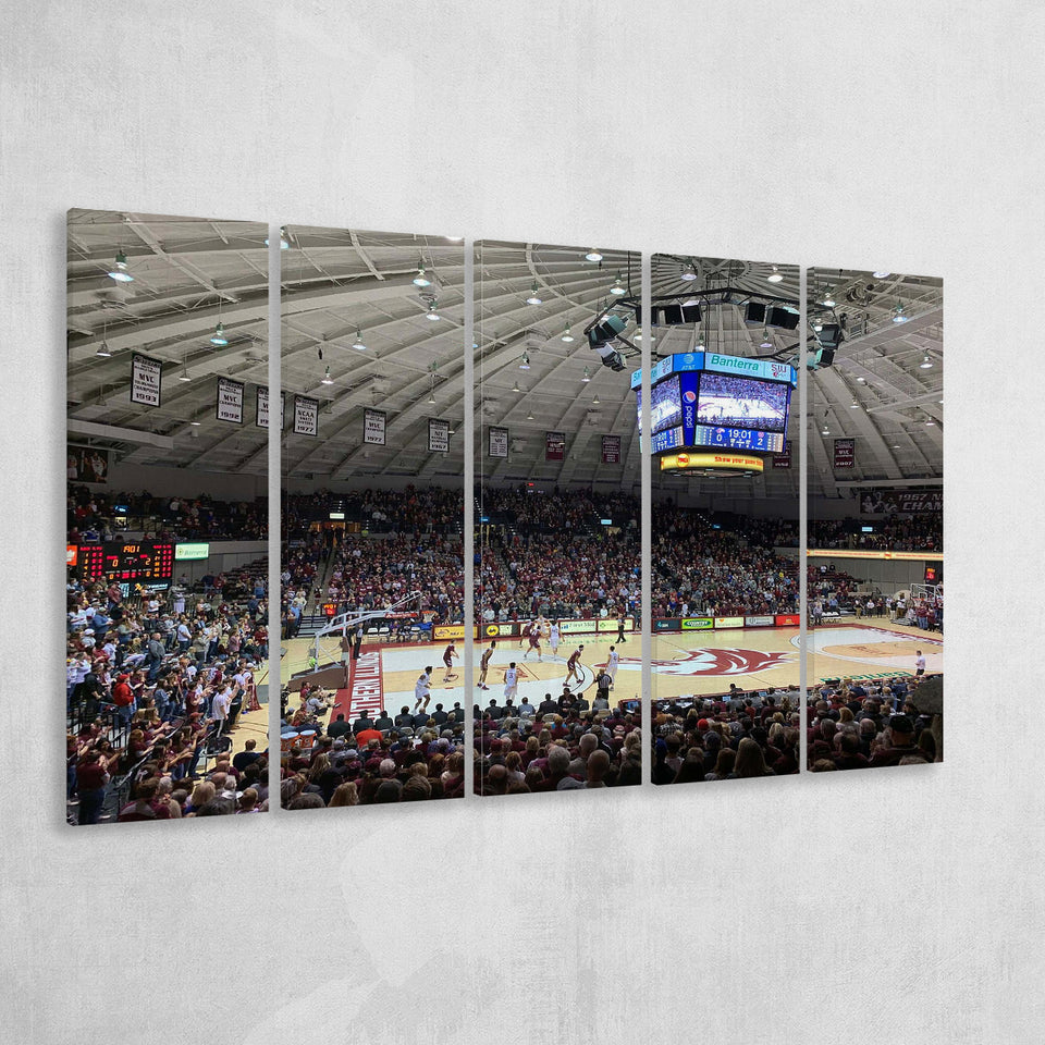 Southern Illinois Salukis Wall Art Banterra Center Stadium Canvas Prints,Multi Panels B,Sport Stadium Art Prints, Fan Gift