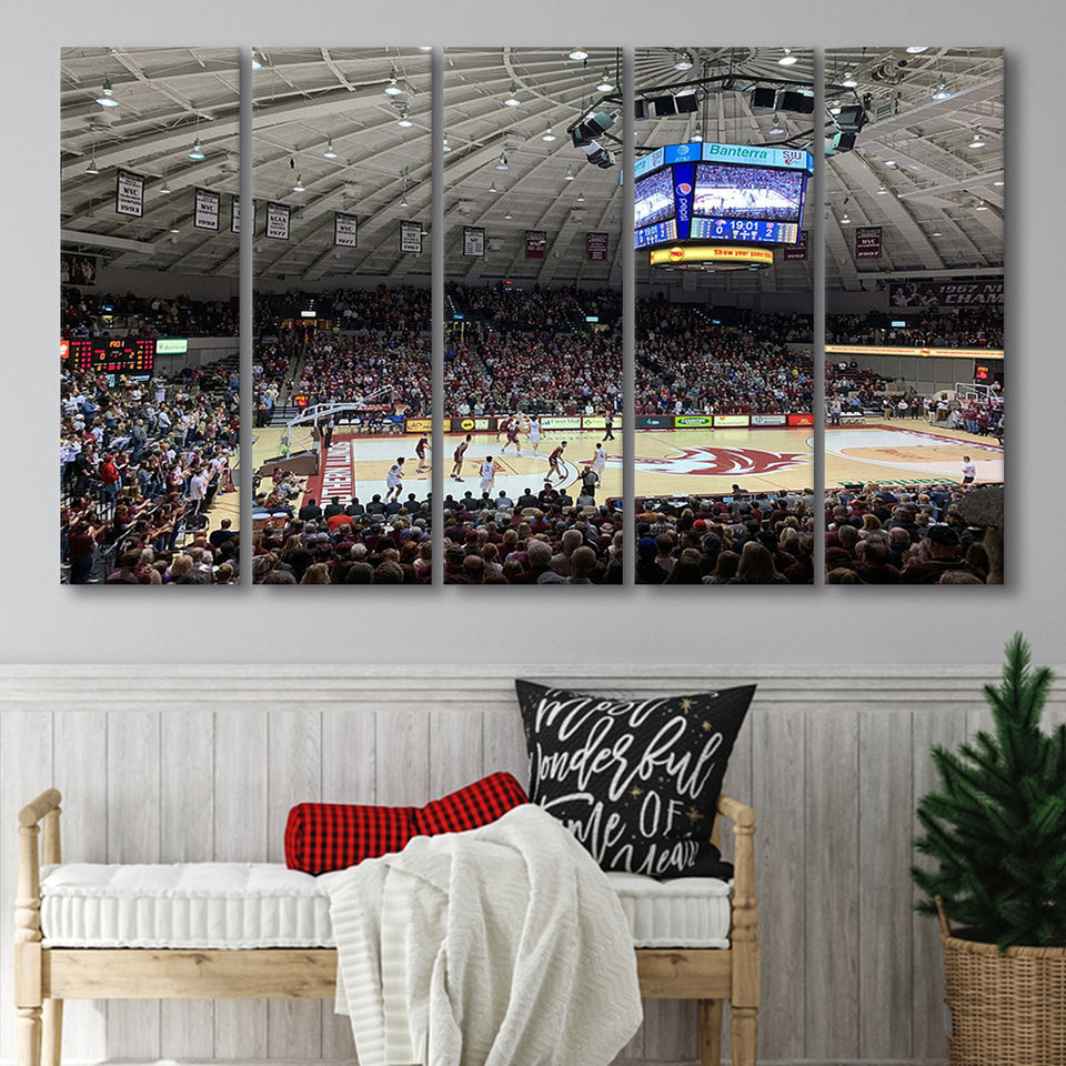 Southern Illinois Salukis Wall Art Banterra Center Stadium Canvas Prints,Multi Panels B,Sport Stadium Art Prints, Fan Gift