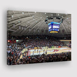 Southern Illinois Salukis Wall Art Banterra Center Stadium Canvas Prints,Sport Stadium Art Prints, Fan Gift, Wall Decor