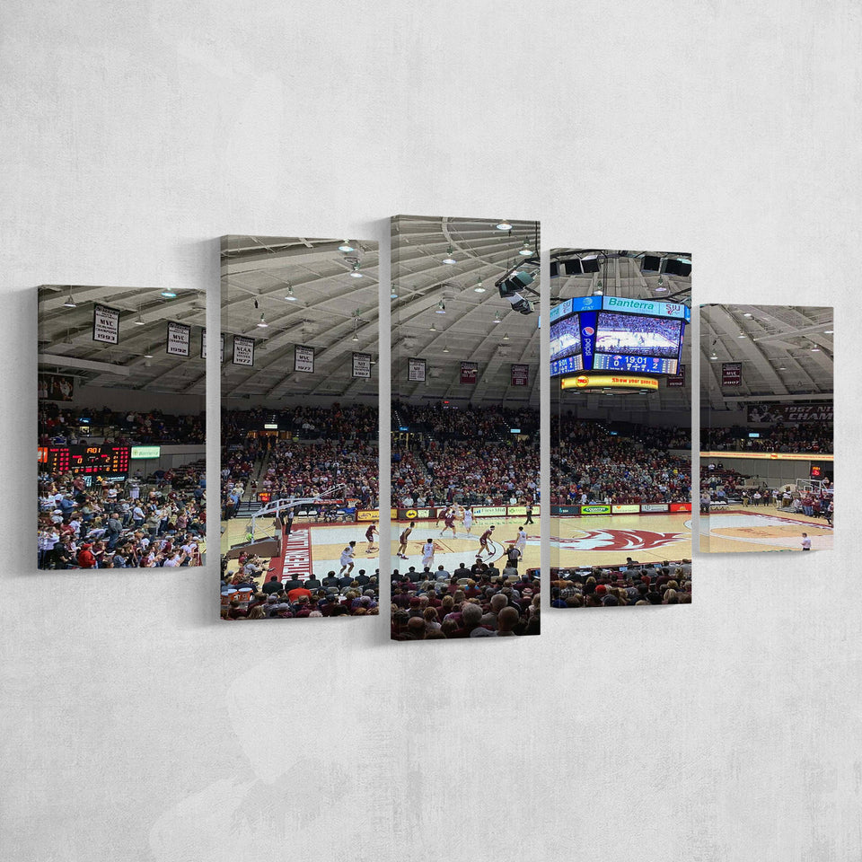 Southern Illinois Salukis Wall Art Banterra Center Stadium Canvas Prints,Multi Panels,Sport Stadium Art Prints, Fan Gift