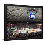 Southern Illinois Salukis Wall Art Banterra Center Stadium Art Prints,Sport Stadium Art Prints, Fan Gift, Wall Decor