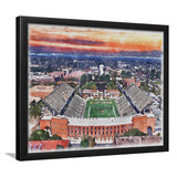 Southern Miss Golden Eagles M M Roberts Stadium Watercolor, Sport Prints Fan Gift, Framed Art Prints Wall Art Decor
