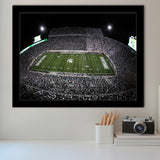 Spartan Stadium, Stadium Canvas, Sport Art, Gift for him, Framed Art Prints Wall Art Decor, Framed Picture