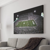 Spartan Stadium, Stadium Canvas, Sport Art, Gift for him, Fan Gift, Canvas Prints Wall Art Decor