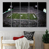 Spartan Stadium, Stadium Canvas, Sport Art, Gift for him, Multi Panels B, Canvas Prints Wall Art Decor