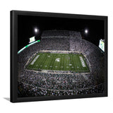 Spartan Stadium, Stadium Canvas, Sport Art, Gift for him, Framed Art Prints Wall Art Decor, Framed Picture