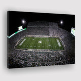 Spartan Stadium, Stadium Canvas, Sport Art, Gift for him, Fan Gift, Canvas Prints Wall Art Decor