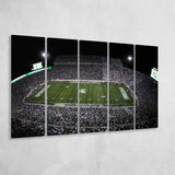 Spartan Stadium, Stadium Canvas, Sport Art, Gift for him, Multi Panels B, Canvas Prints Wall Art Decor