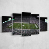 Spartan Stadium, Stadium Canvas, Sport Art, Large Canvas, Multi Panels, Canvas Prints Wall Art Decor