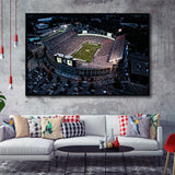 Spartan Stadium in Michigan, Stadium Canvas, Sport Art, Gift for him, Framed Canvas Prints Wall Art Decor, Framed Picture