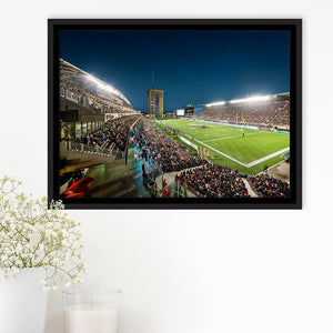 Stadium Td, Stadium Canvas, Sport Art, Gift for him, Framed Canvas Prints Wall Art Decor, Framed Picture