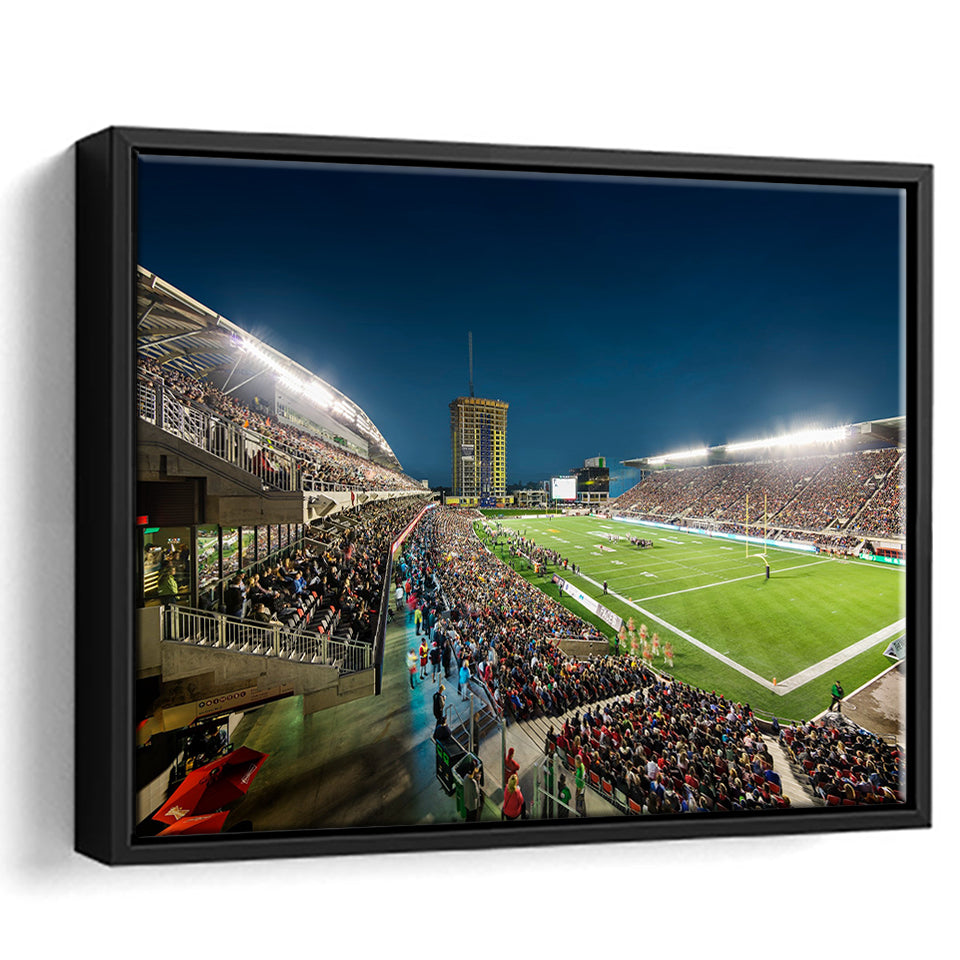 Stadium Td, Stadium Canvas, Sport Art, Gift for him, Framed Canvas Prints Wall Art Decor, Framed Picture