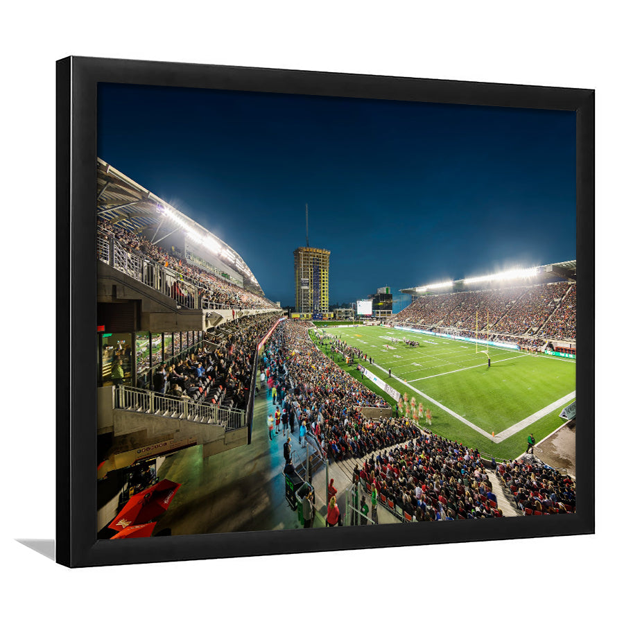 Stadium Td, Stadium Canvas, Sport Art, Gift for him, Framed Art Prints Wall Art Decor, Framed Picture