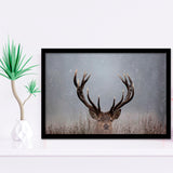Stag Head In The Snow Framed Art Prints Wall Decor - Painting Prints,Wall Art, Framed Picture,For Sale