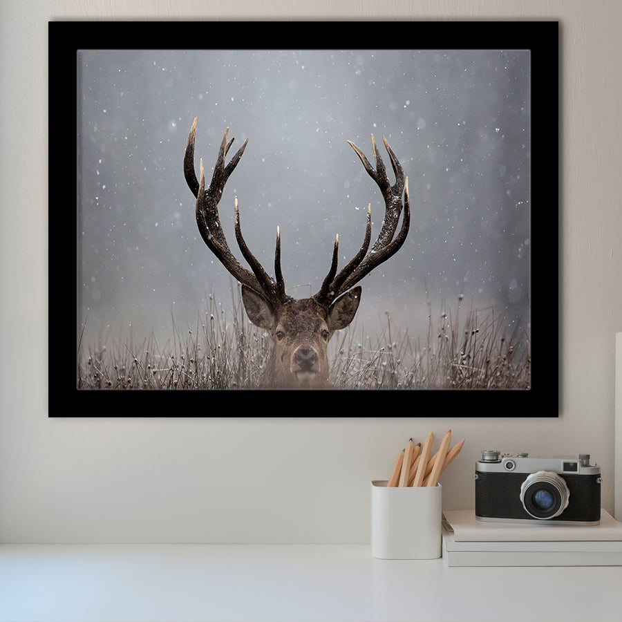 Stag Head In The Snow Framed Art Prints Wall Decor - Painting Prints,Wall Art, Framed Picture,For Sale