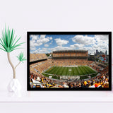 Steelers Heinz Field, Stadium Canvas, Sport Art, Gift for him, Framed Art Prints Wall Art Decor, Framed Picture