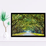 Stunning Line of Oak Trees Along the Road in Savannah Framed Art Prints Wall Decor - Painting Prints, Framed Picture, Home Decor