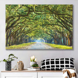 Stunning Line of Oak Trees Along the Road in Savannah Canvas Prints Wall Art Decor - Paiting Canvas, Art Prints, Wall Decor, For Sale