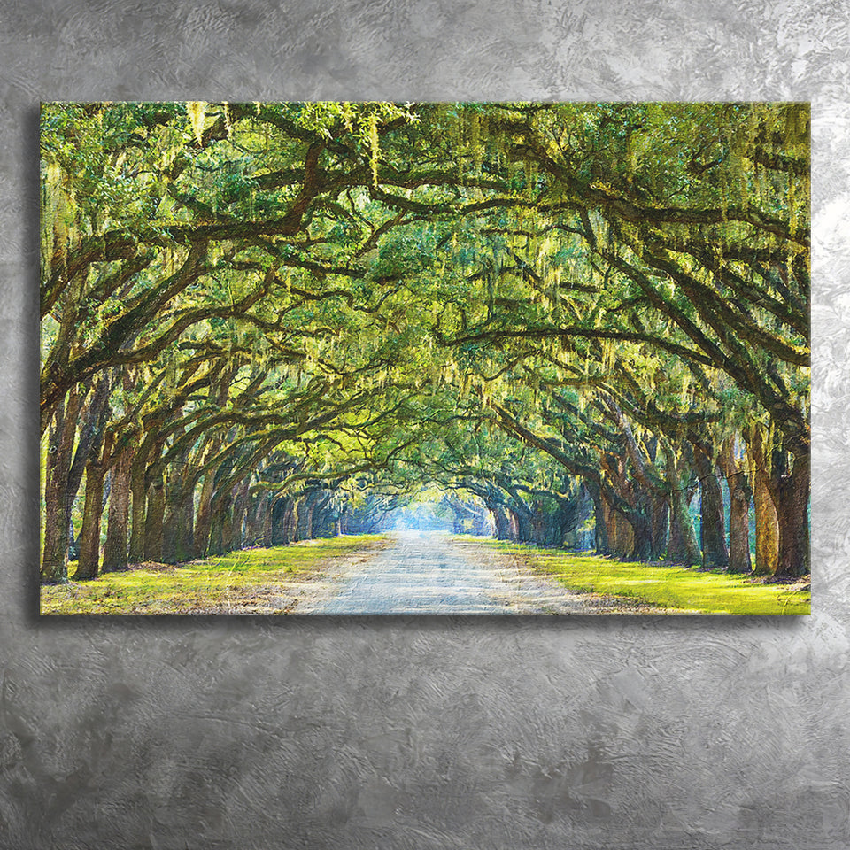 Stunning Line of Oak Trees Along the Road in Savannah Canvas Prints Wall Art Decor - Paiting Canvas, Art Prints, Wall Decor, For Sale