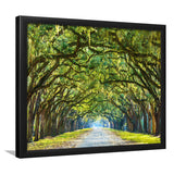 Stunning Line of Oak Trees Along the Road in Savannah Framed Art Prints Wall Decor - Painting Prints, Framed Picture, Home Decor
