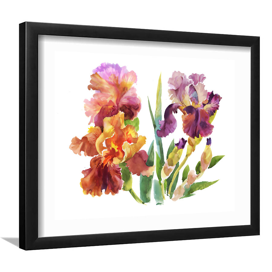 Summer Garden Iris Flowers Framed Wall Art - Framed Prints, Art Prints, Home Decor, Painting Prints