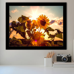 Sunflower Sunset Framed Art Prints Wall Decor - Painting Art, Black Frame, Home Decor, Prints for Sale