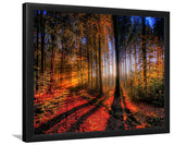 Sunny autumn day-Forest art, Art print, Plexiglass Cover