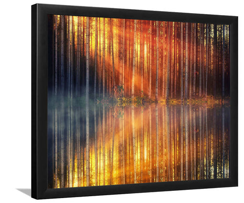 Sunset Day Light Forest-Forest art, Art print, Plexiglass Cover