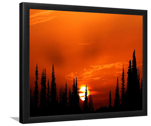 Sunset Orange Forest-Forest art, Art print, Plexiglass Cover