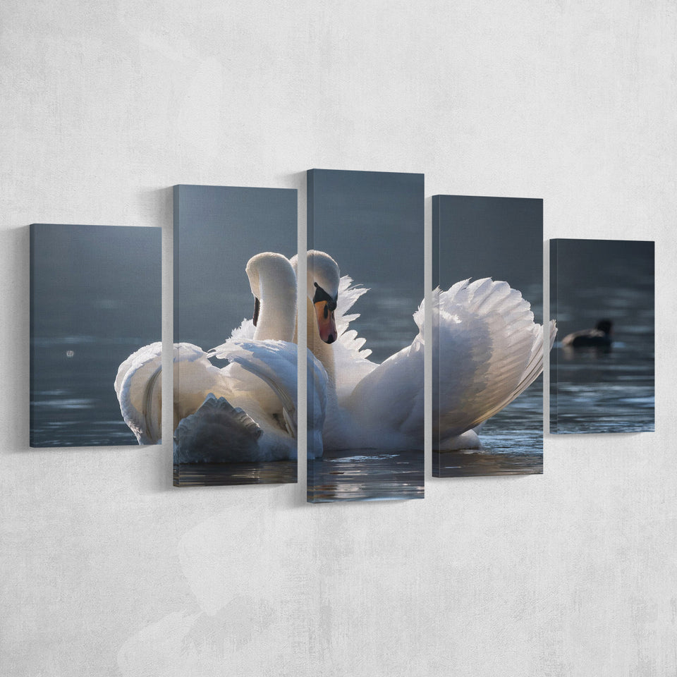 Swan, Love Multi Panels,Canvas Prints Wall Art Home Decor