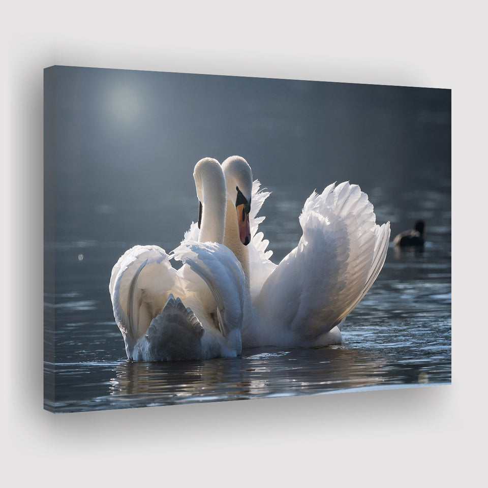 Swan, Love Canvas Prints Wall Art Home Decor - Painting Canvas, Ready to hang