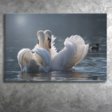 Swan, Love Canvas Prints Wall Art Home Decor - Painting Canvas, Ready to hang